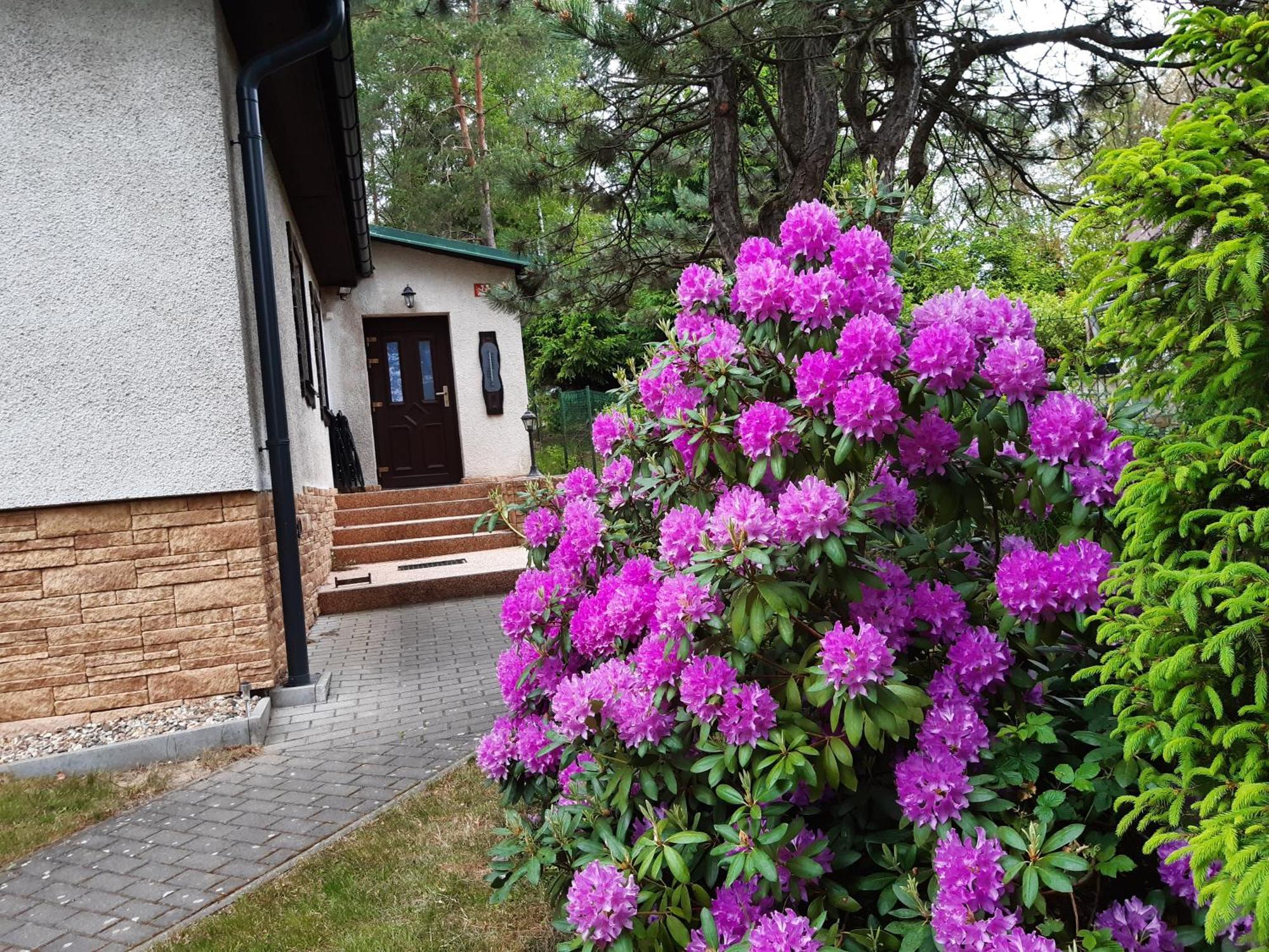 Chata Rynartice 7 Jetřichovice Extérieur photo
